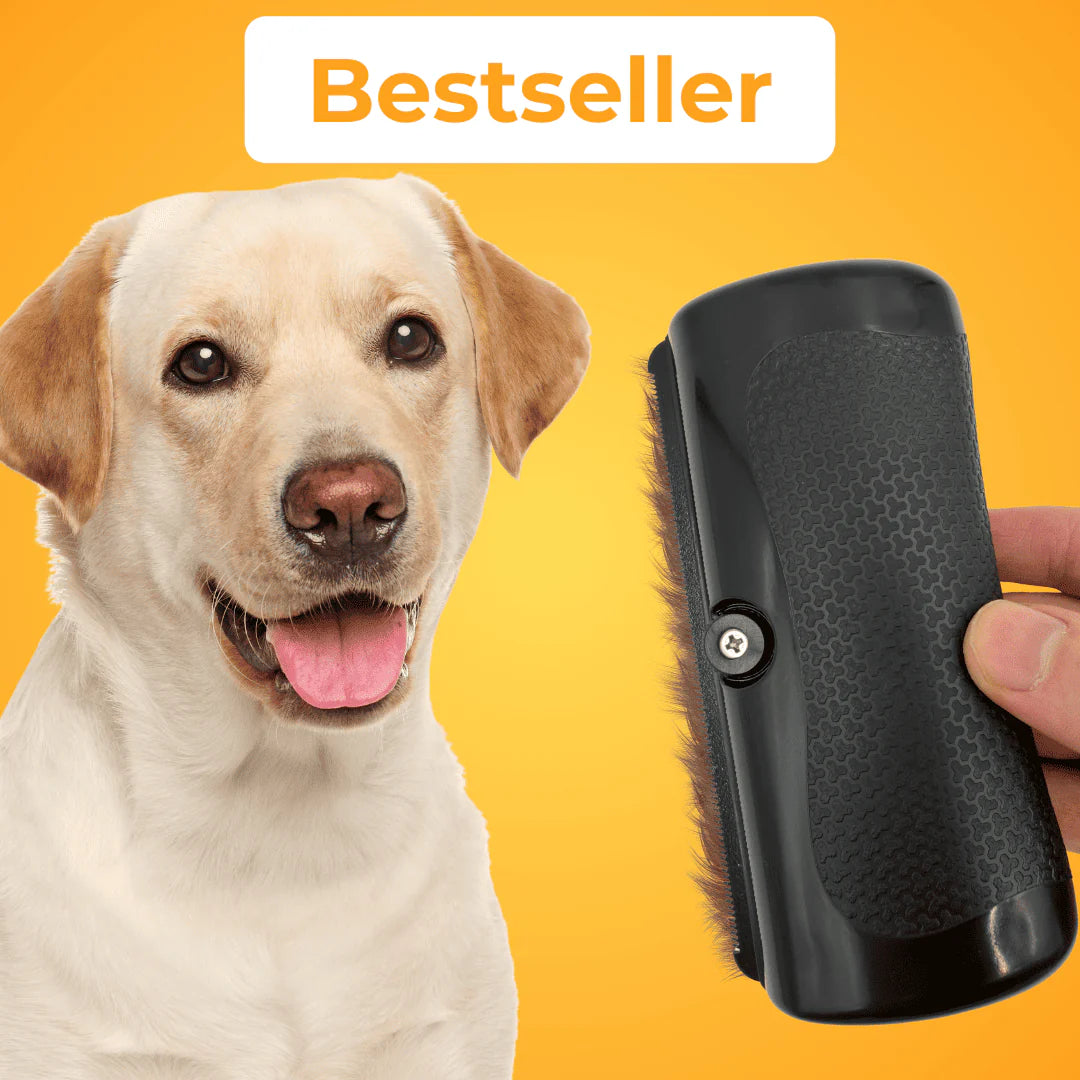 Brosse DoggyBrushy